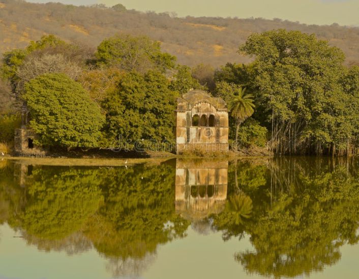 Scenic view of lake and ancient ruins in Ranthambore National Park