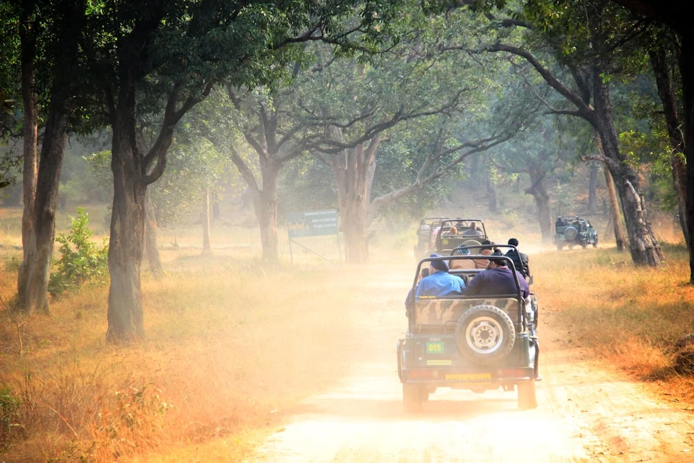 Ranthambore National Park Tiger Safari Booking Jeep and Canter